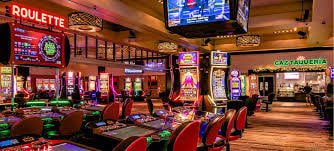 i9vet